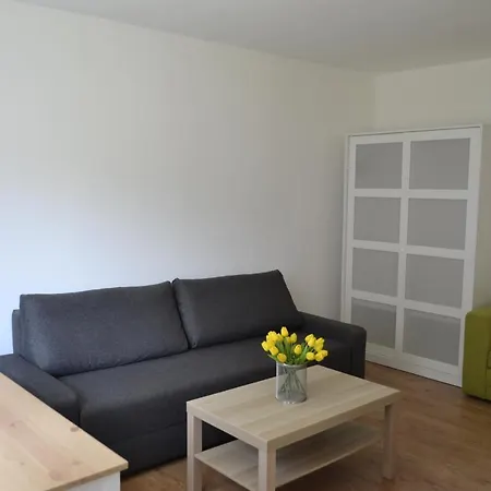Kameralne Studio Vigo 소포트